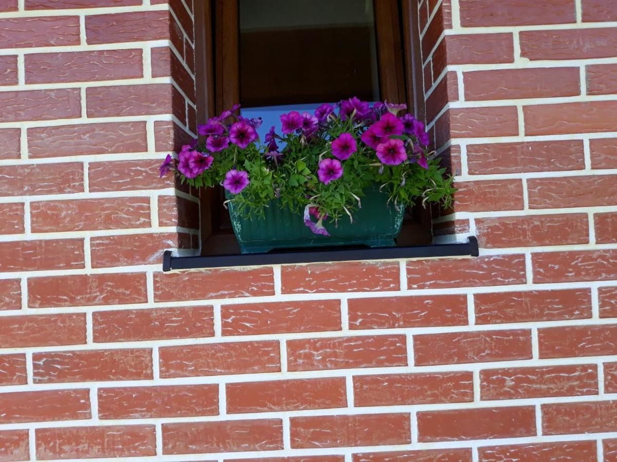 Виллы House in forest Жабляк