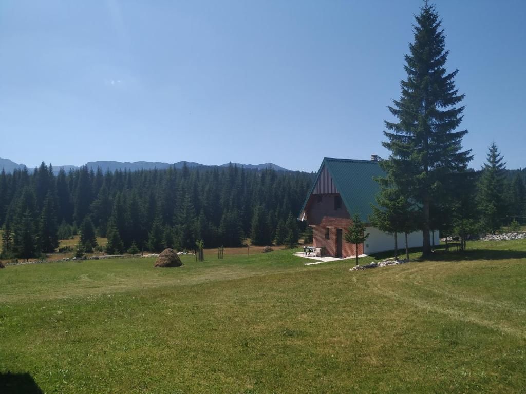 Виллы House in forest Жабляк