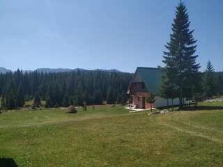 Виллы House in forest Жабляк Дом с 3 спальнями-27