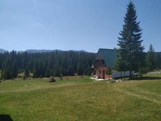 Виллы House in forest Жабляк Дом с 3 спальнями-42