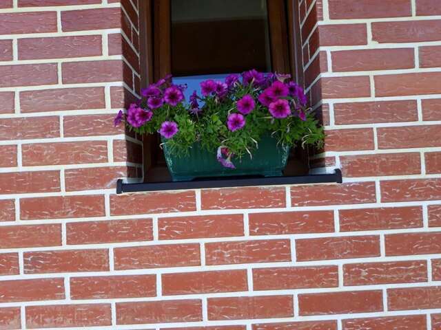 Виллы House in forest Жабляк-28