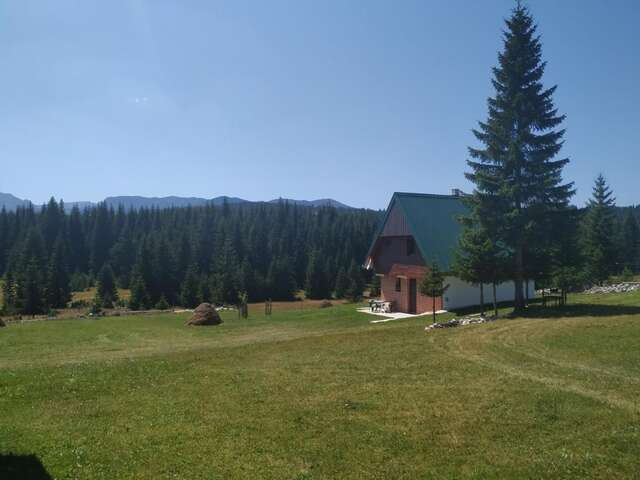 Виллы House in forest Жабляк-29