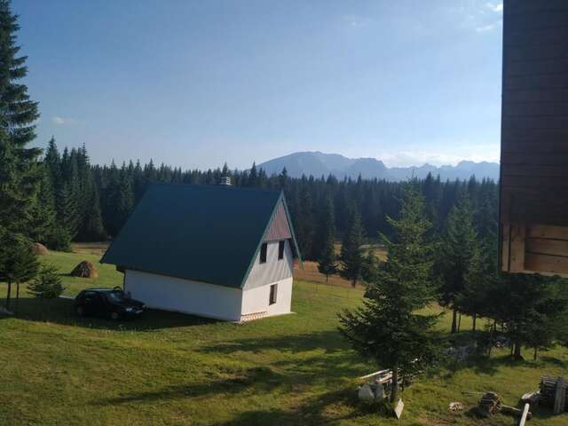 Виллы House in forest Жабляк-35