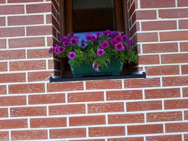 Виллы House in forest Жабляк-46